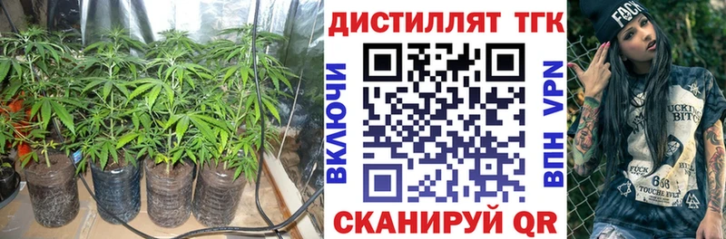 МЕГА зеркало  Инсар  ТГК жижа 