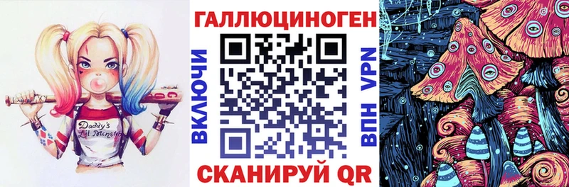 mega ссылка  Инсар  Галлюциногенные грибы Psilocybe 